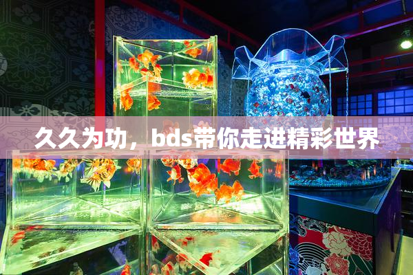 久久为功，bds带你走进精彩世界