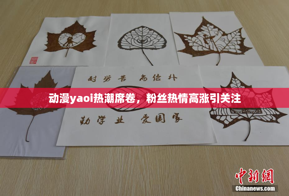 动漫yaoi热潮席卷，粉丝热情高涨引关注