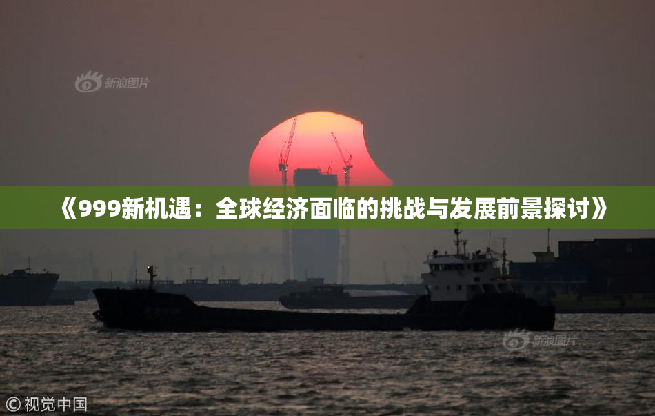 《999新机遇：全球经济面临的挑战与发展前景探讨》
