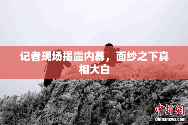 记者现场揭露内幕，面纱之下真相大白