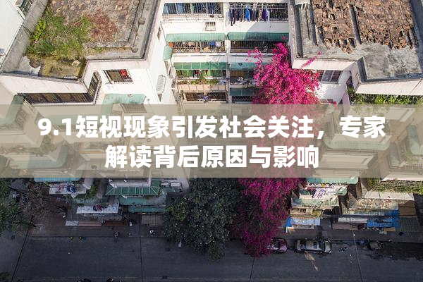 9.1短视现象引发社会关注，专家解读背后原因与影响