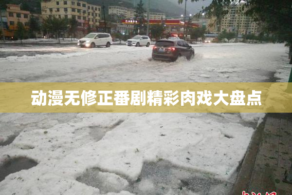 动漫无修正番剧精彩肉戏大盘点