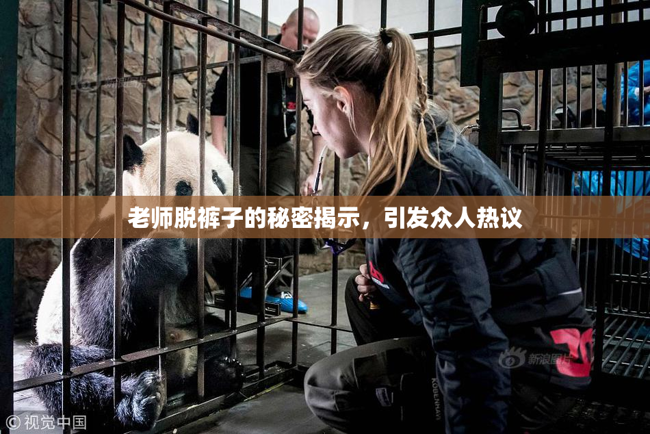 老师脱裤子的秘密揭示，引发众人热议