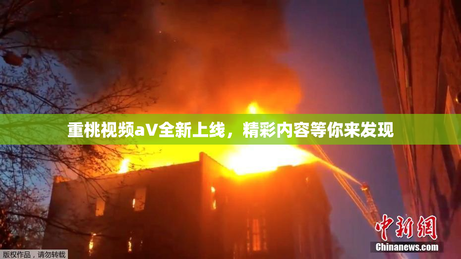 重桃视频aV全新上线，精彩内容等你来发现