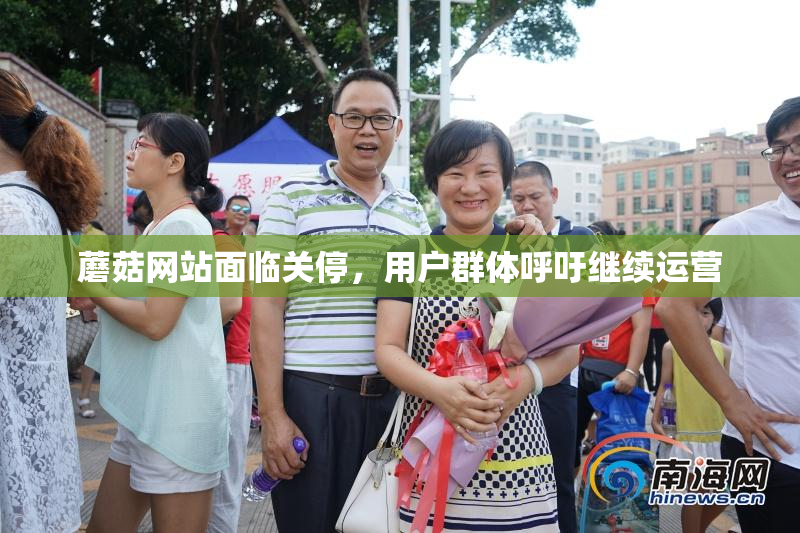 蘑菇网站面临关停，用户群体呼吁继续运营