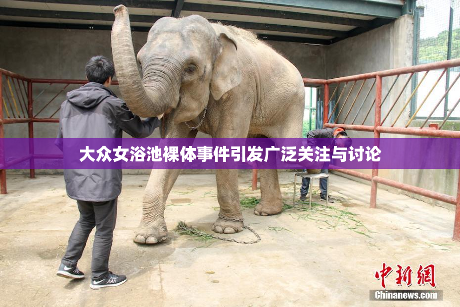 大众女浴池裸体事件引发广泛关注与讨论