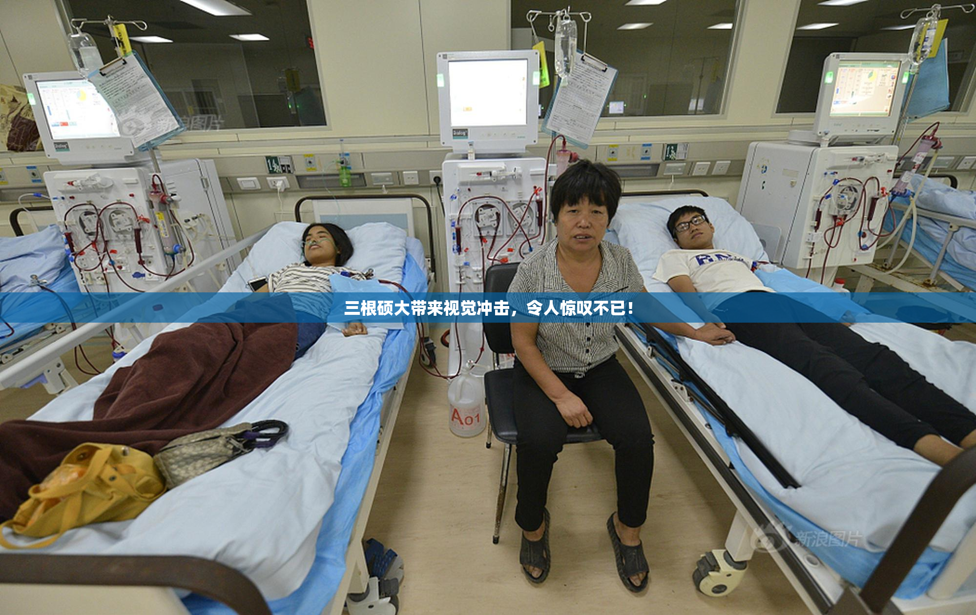 三根硕大带来视觉冲击，令人惊叹不已！