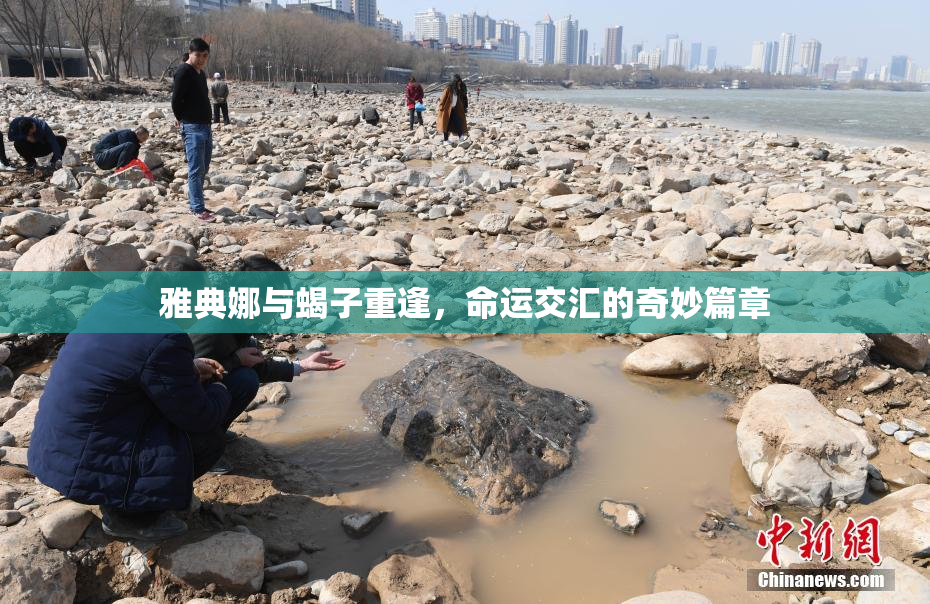 雅典娜与蝎子重逢，命运交汇的奇妙篇章