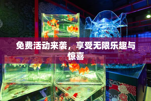 免费活动来袭，享受无限乐趣与惊喜