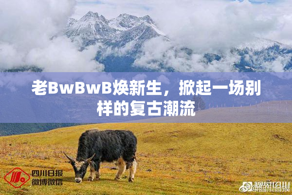 老BwBwB焕新生，掀起一场别样的复古潮流