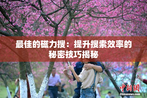 最佳的磁力搜：提升搜索效率的秘密技巧揭秘