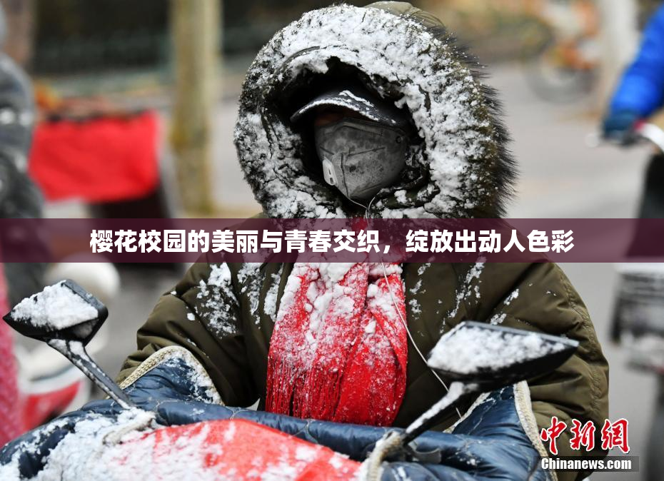樱花校园的美丽与青春交织，绽放出动人色彩