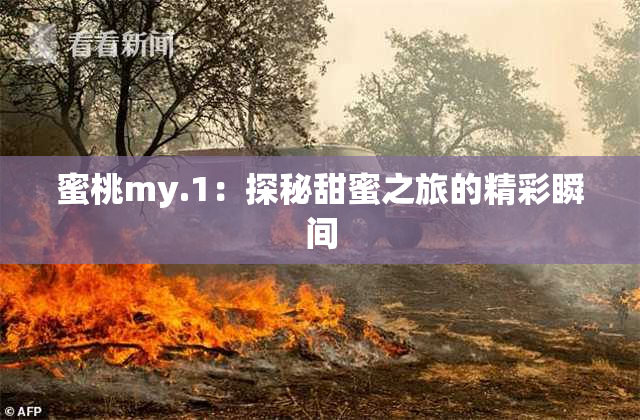 蜜桃my.1：探秘甜蜜之旅的精彩瞬间
