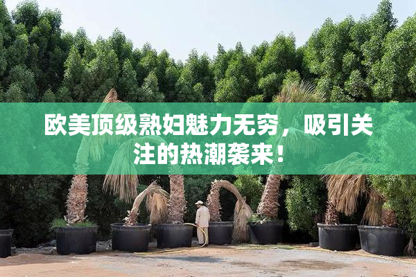 欧美顶级熟妇魅力无穷，吸引关注的热潮袭来！