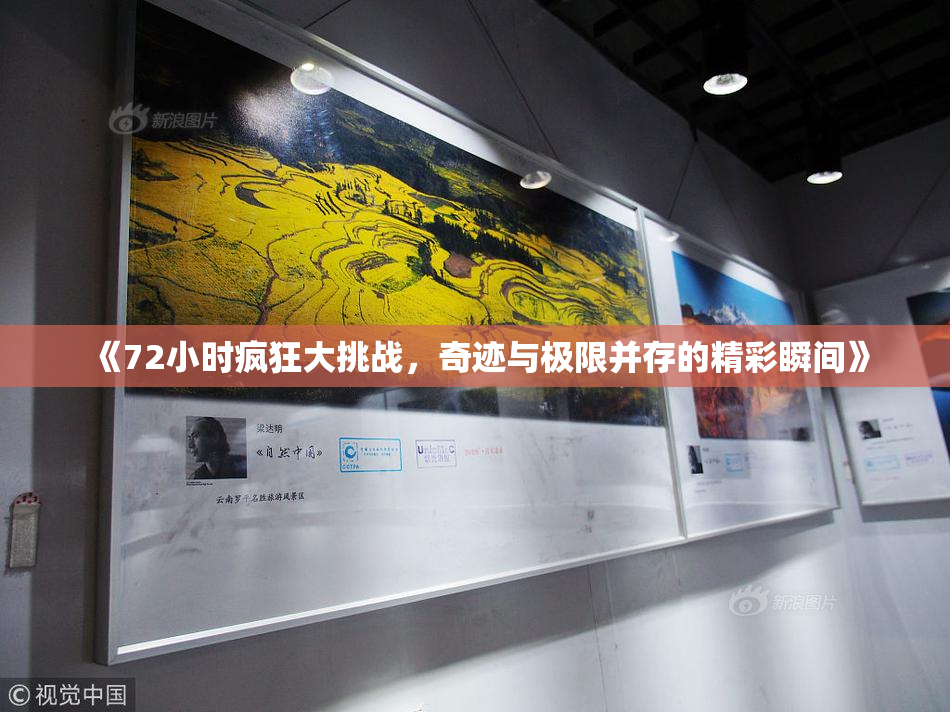 《72小时疯狂大挑战，奇迹与极限并存的精彩瞬间》