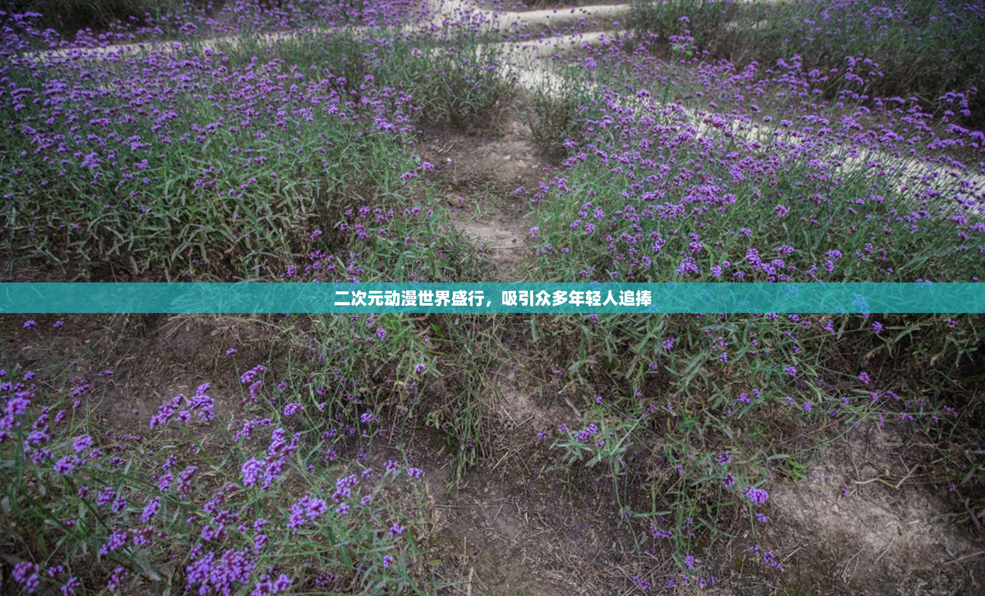 二次元动漫世界盛行，吸引众多年轻人追捧
