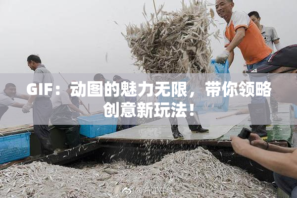 GIF：动图的魅力无限，带你领略创意新玩法！