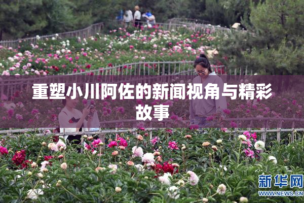 重塑小川阿佐的新闻视角与精彩故事