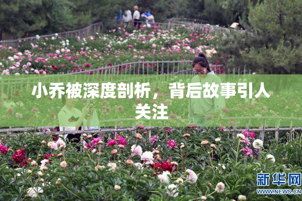 小乔被深度剖析，背后故事引人关注