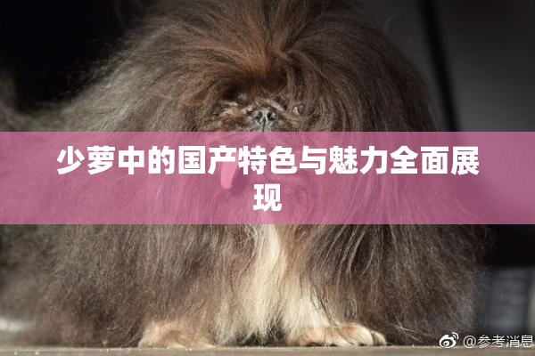 少萝中的国产特色与魅力全面展现