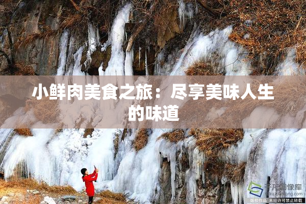 小鲜肉美食之旅：尽享美味人生的味道