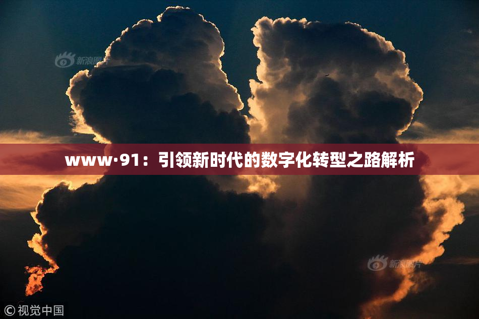 www·91：引领新时代的数字化转型之路解析