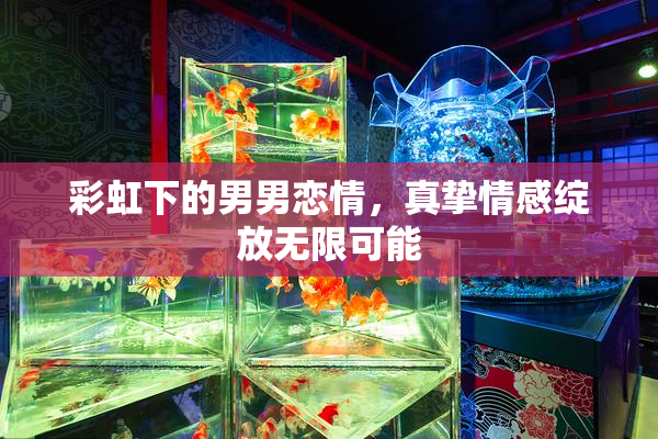 彩虹下的男男恋情，真挚情感绽放无限可能