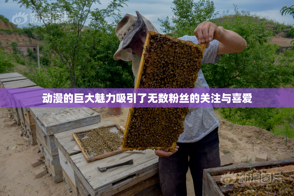 动漫的巨大魅力吸引了无数粉丝的关注与喜爱