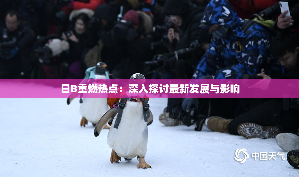 日B重燃热点：深入探讨最新发展与影响
