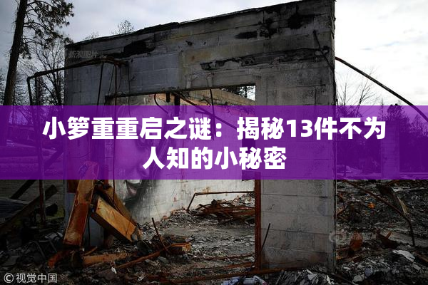 小箩重重启之谜：揭秘13件不为人知的小秘密