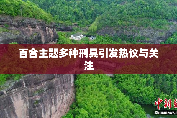 百合主题多种刑具引发热议与关注