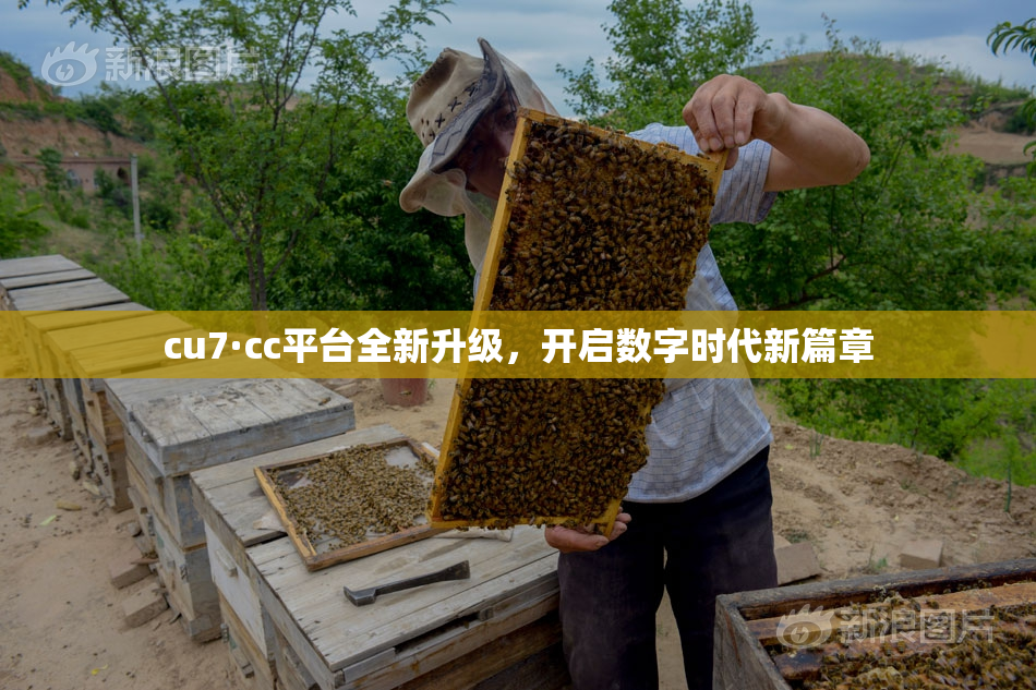 cu7·cc平台全新升级，开启数字时代新篇章