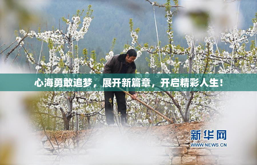 心海勇敢追梦，展开新篇章，开启精彩人生！