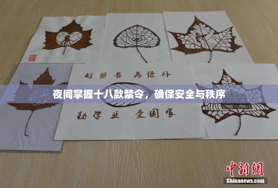 夜间掌握十八款禁令，确保安全与秩序