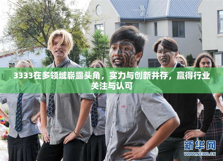 3333在多领域崭露头角，实力与创新并存，赢得行业关注与认可