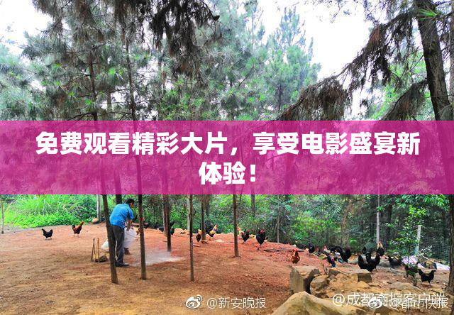 免费观看精彩大片，享受电影盛宴新体验！