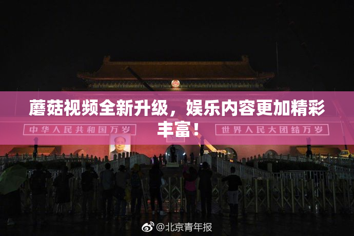 蘑菇视频全新升级，娱乐内容更加精彩丰富！