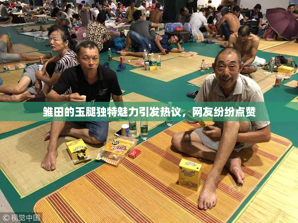 雏田的玉腿独特魅力引发热议，网友纷纷点赞