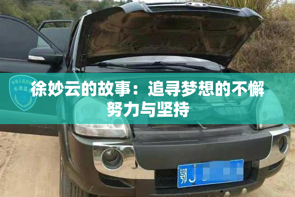 徐妙云的故事：追寻梦想的不懈努力与坚持