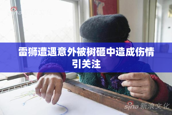 雷狮遭遇意外被树砸中造成伤情引关注