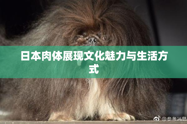 日本肉体展现文化魅力与生活方式