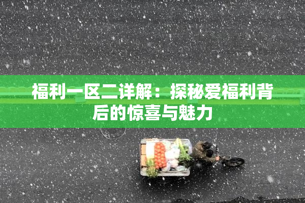 福利一区二详解：探秘爱福利背后的惊喜与魅力