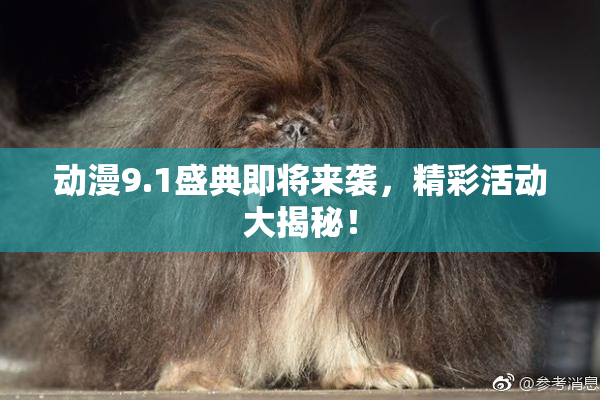 动漫9.1盛典即将来袭，精彩活动大揭秘！