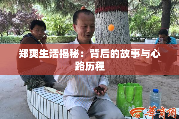 郑爽生活揭秘：背后的故事与心路历程