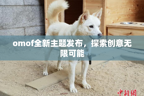 omof全新主题发布，探索创意无限可能