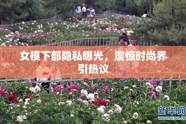 女模下部隐私曝光，震惊时尚界引热议