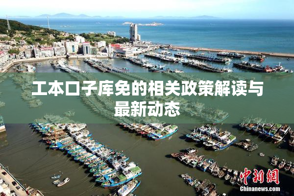 工本口子库免的相关政策解读与最新动态