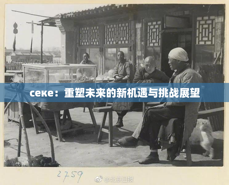 ceке：重塑未来的新机遇与挑战展望
