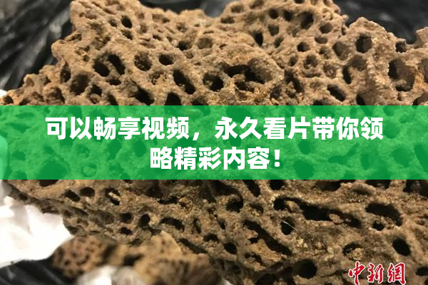 可以畅享视频，永久看片带你领略精彩内容！