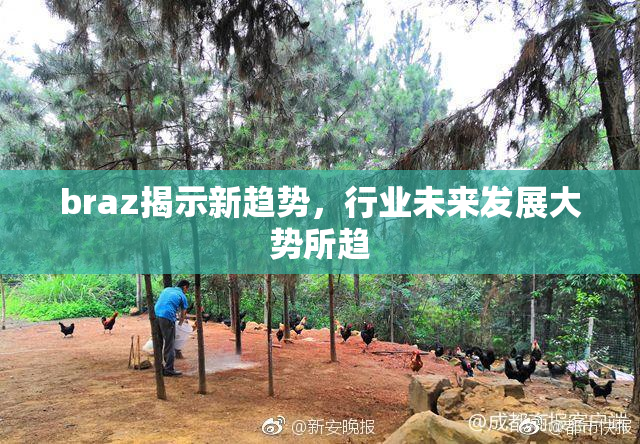 braz揭示新趋势，行业未来发展大势所趋